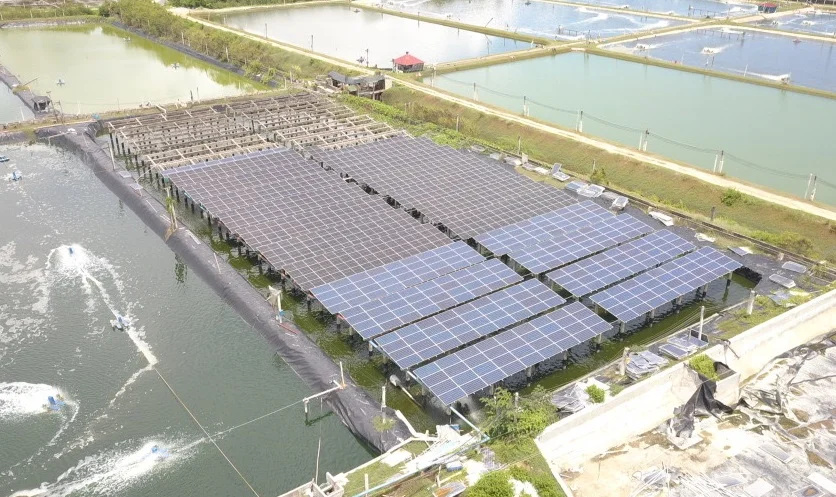 OVERSEAS PRAWN FARM – 315 kWp SOLAR ON-GRID SET-UP